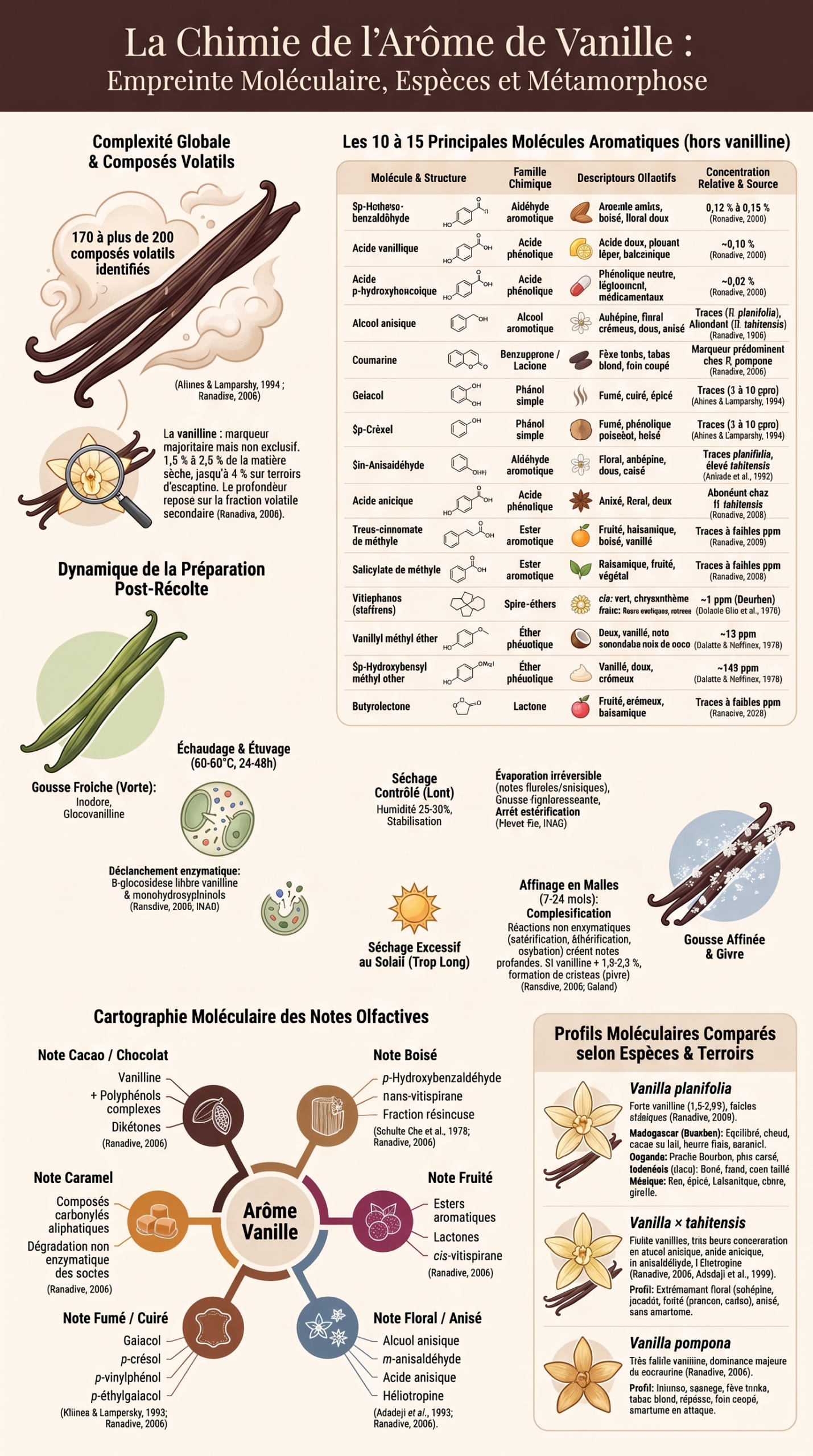 Chimie de l'arôme de vanille, infographie