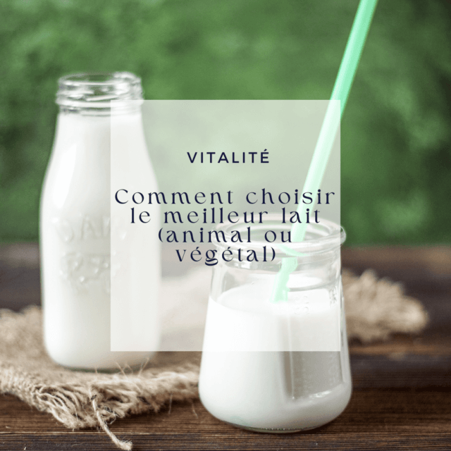 Comment choisir le meilleur lait (animal ou végétal) Blog du Comptoir de Toamasina