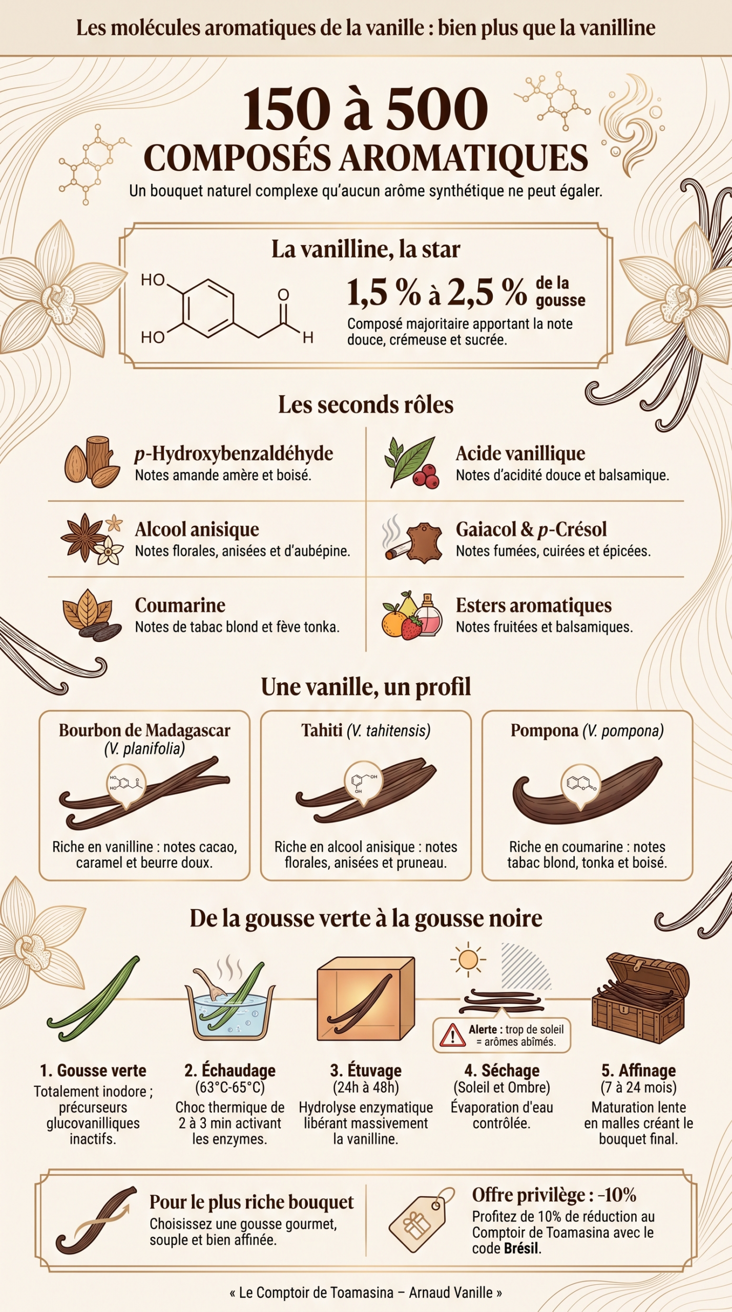 Les molécules aromatiques de la vanille, infographie