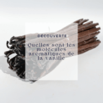 Mon verdict : quelle vanille pour le bouquet le plus riche ?