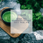 Le thé vert Sencha : notre évaluation
