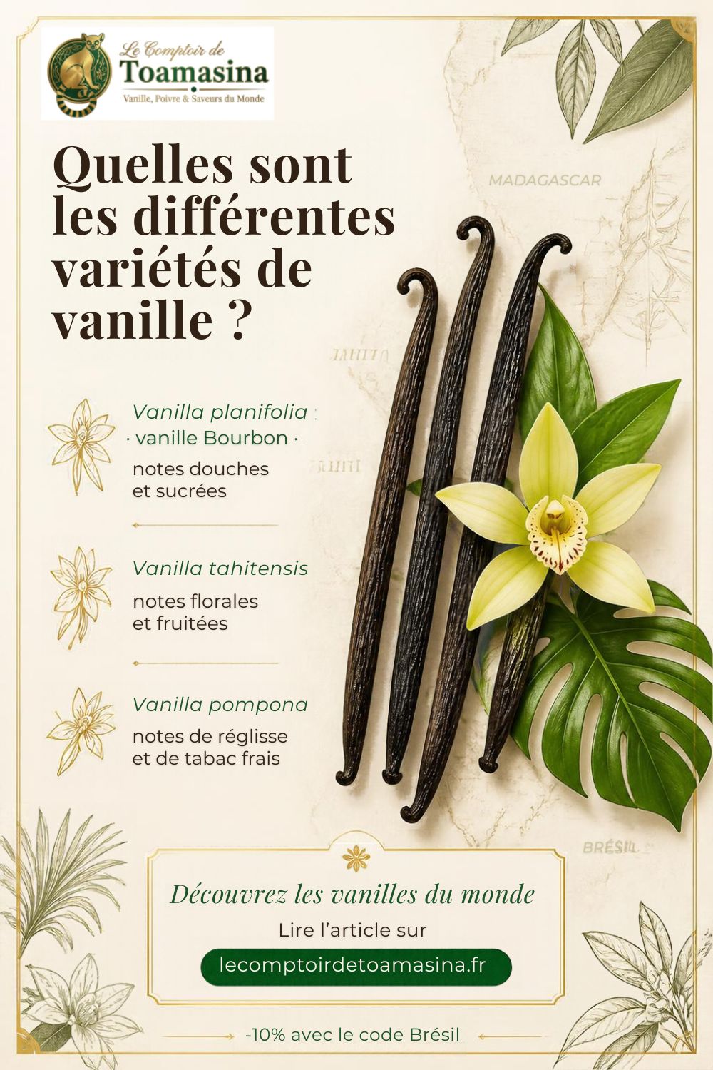 Les différentes variétés de vanille, infographie