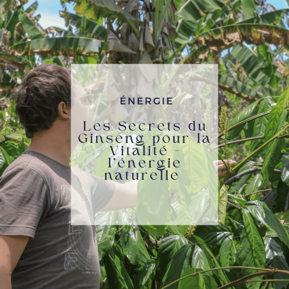Les Secrets du Ginseng pour la Vitalité - l'énergie naturelle 