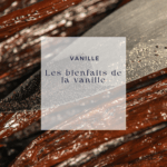 Les bienfaits de la vanille : notre évaluation
