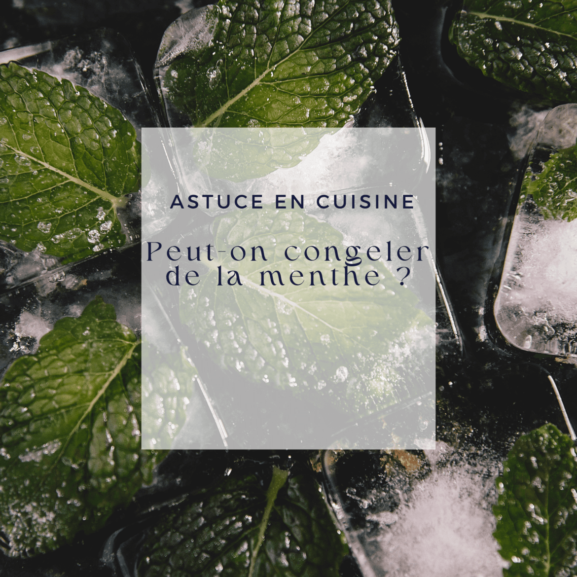 Peuton congeler de la menthe ? Le Comptoir de Toamasina