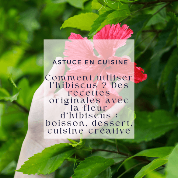 Comment utiliser l'hibiscus Des recettes originales avec la fleur d'hibiscus boisson, dessert, cuisine créative