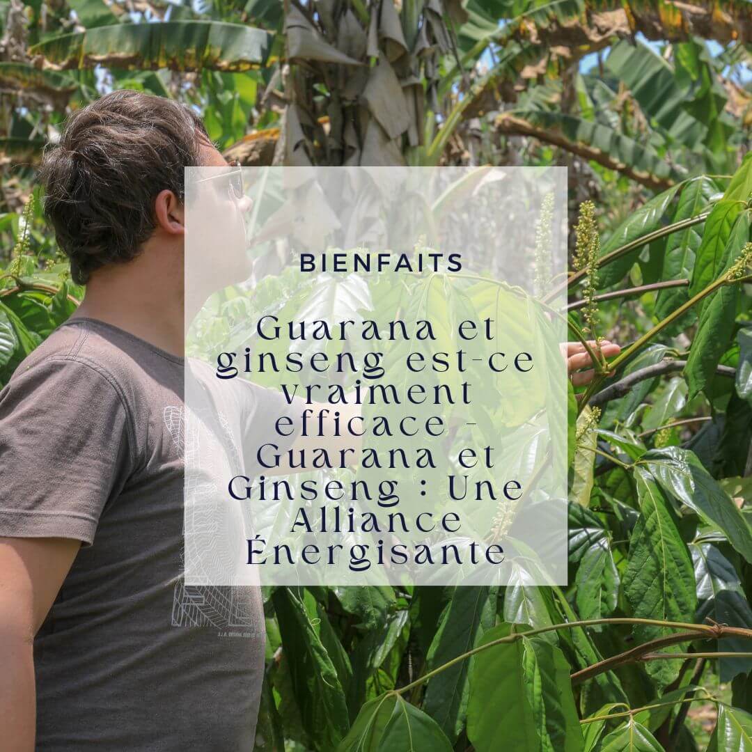 Guarana et ginseng est-ce vraiment efficace - Guarana et Ginseng : Une Alliance Énergisante