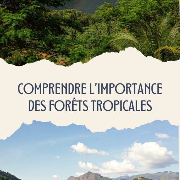 Comprendre l’importance des forêts tropicales