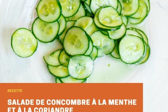 SALADE DE CONCOMBRE À LA MANGUE - Le Comptoir de Toamasina