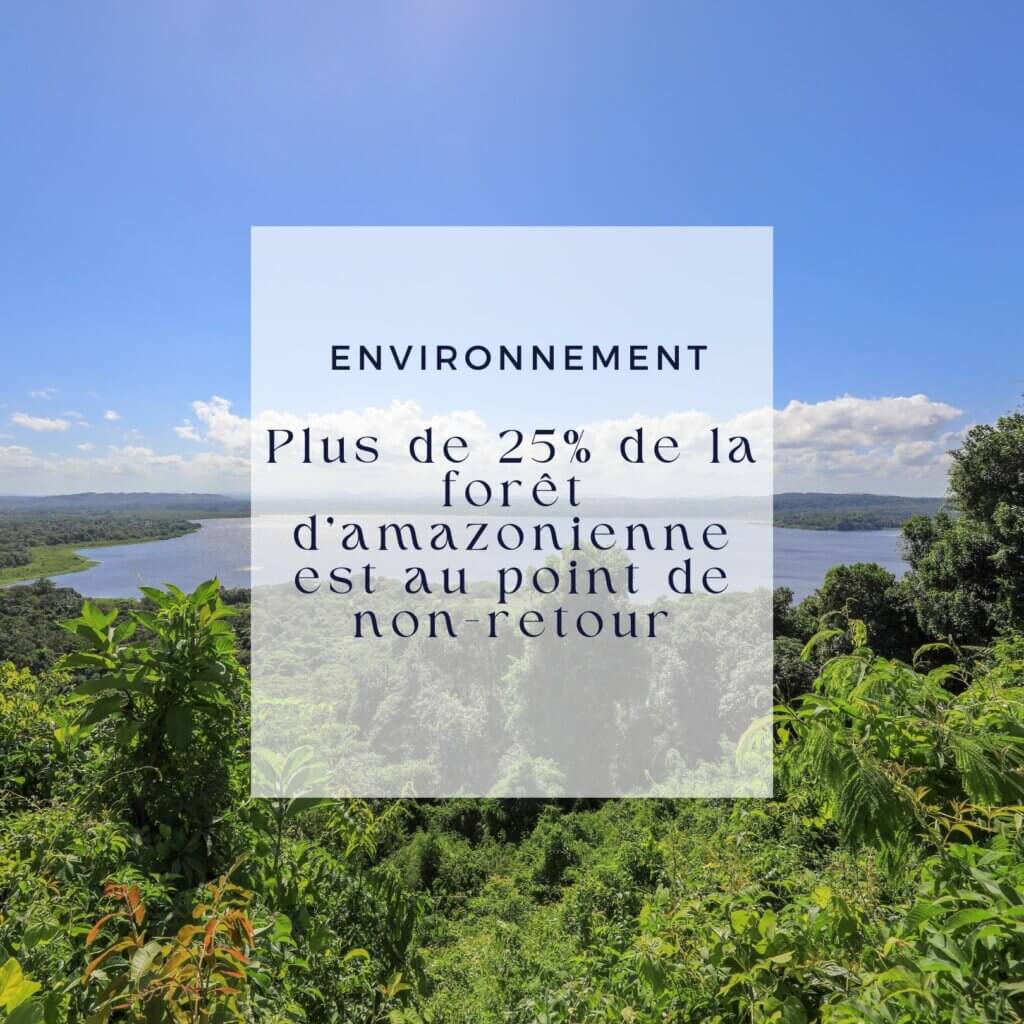 Forêt amazonienne menacée
