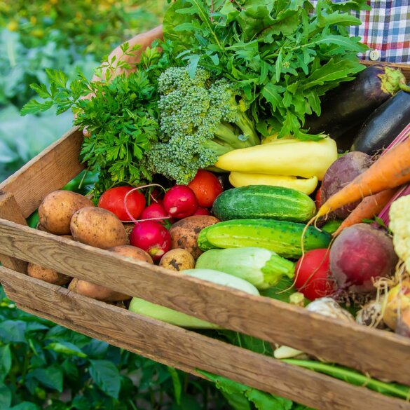 Découvrez quels fruits et légumes sont de saison en été