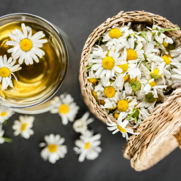 Infusion contre l'anxiété