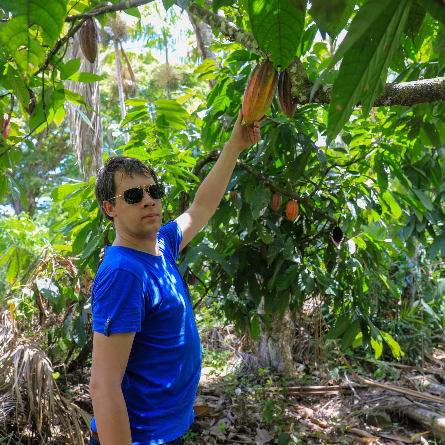 Arnaud Sion dans une plantation de cacao