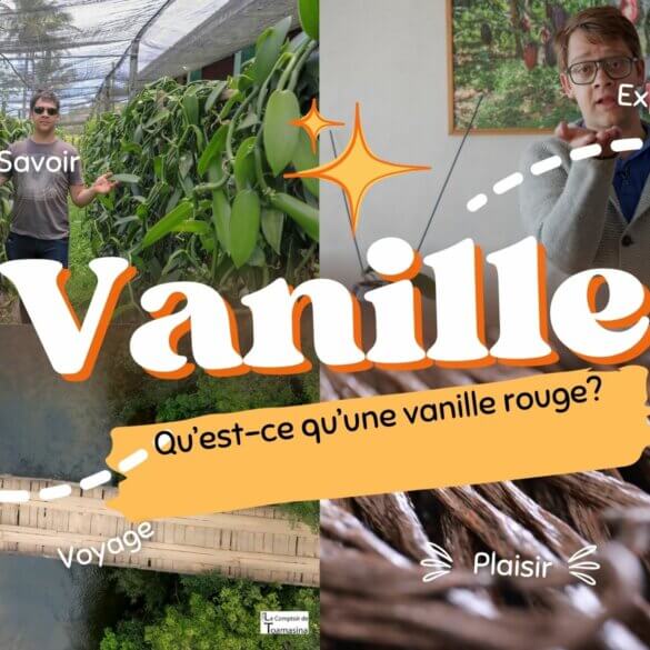 Qu'est-ce que la vanille rouge