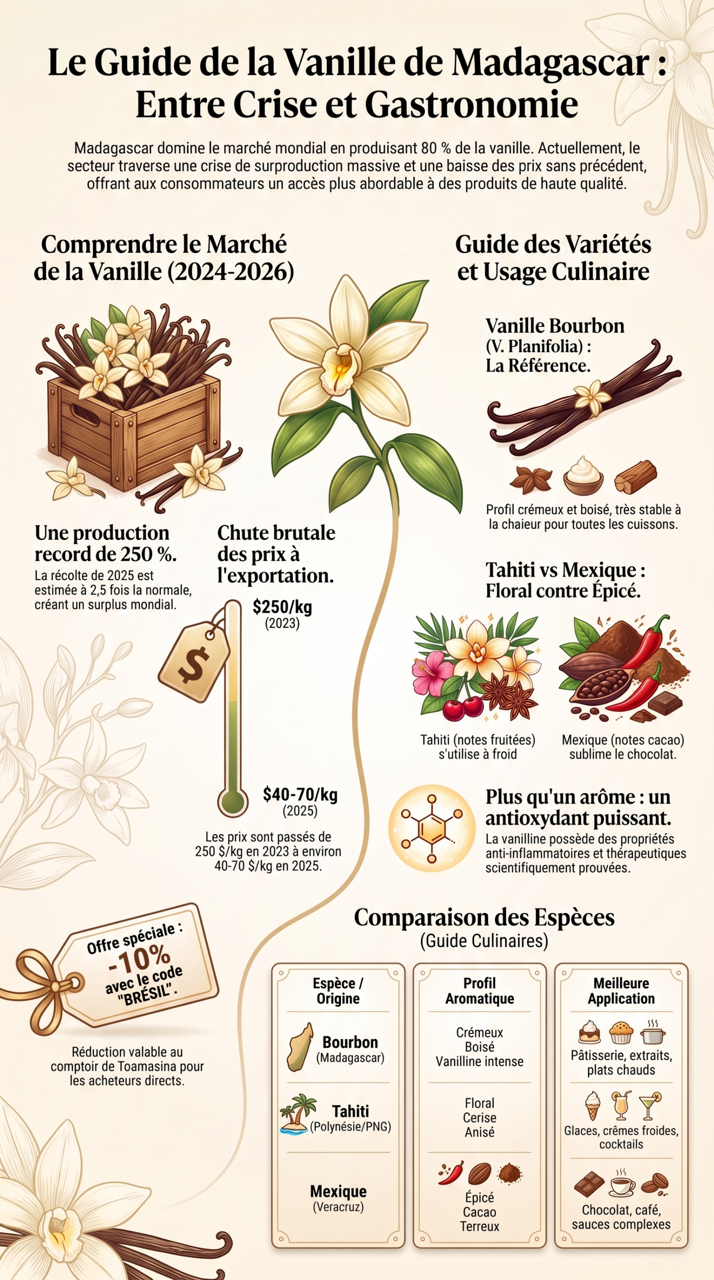 Guide de la vanille : marché, culture et gastronomie
