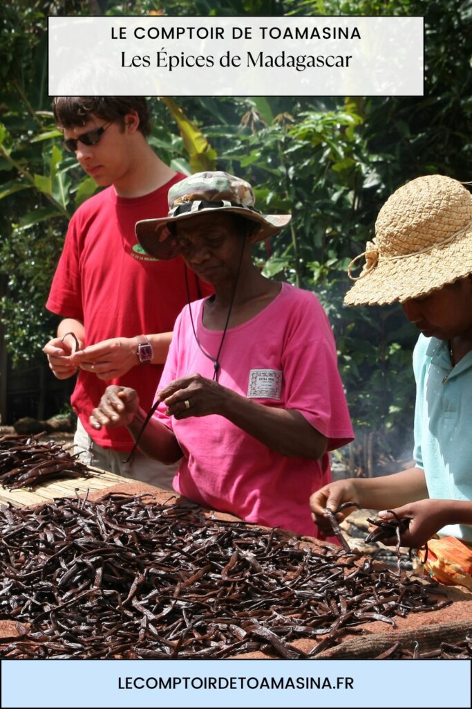 Les Épices de Madagascar Une Richesse Exotique Inégalée