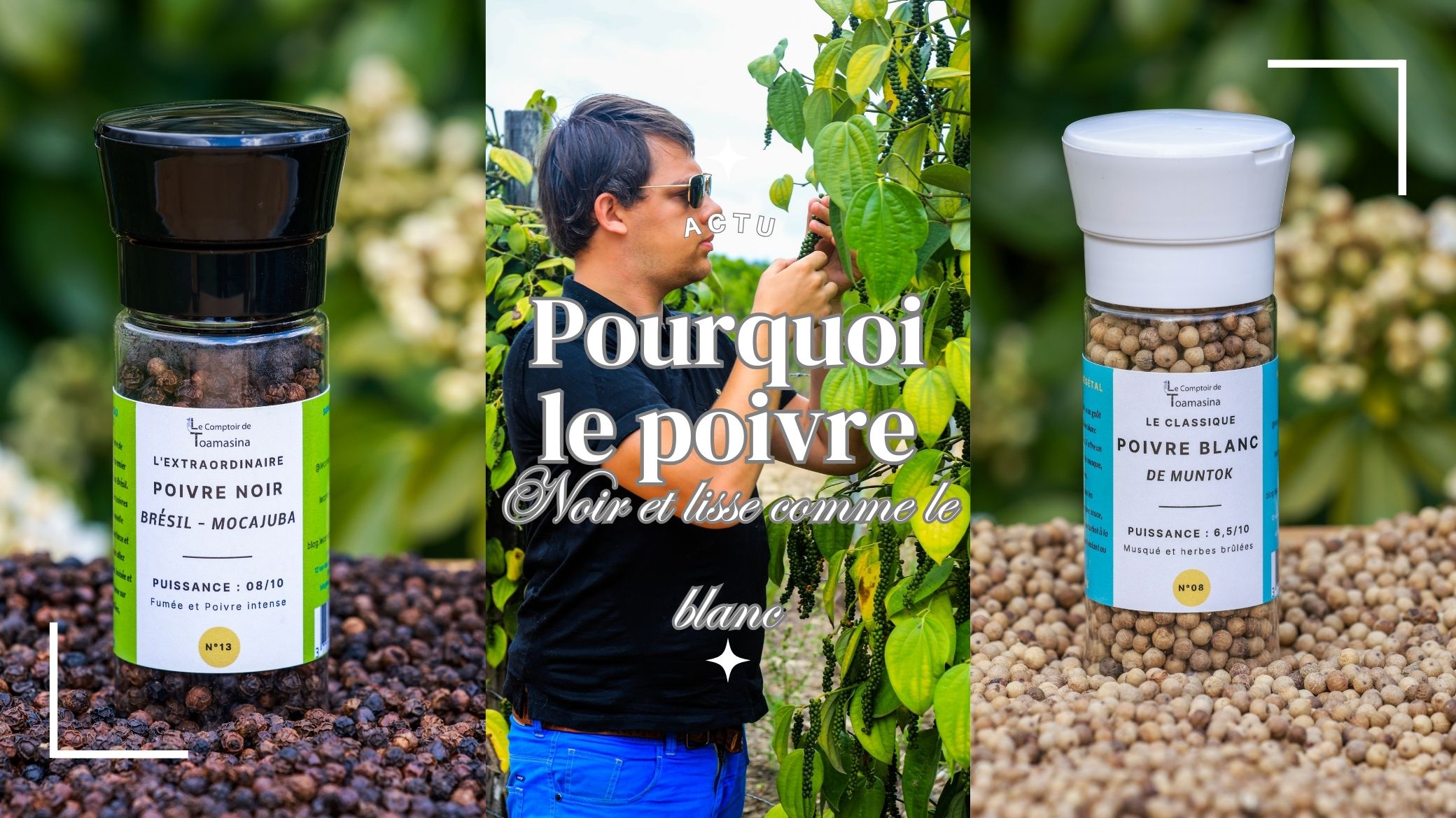 Grains de poivre entiers avant torréfaction