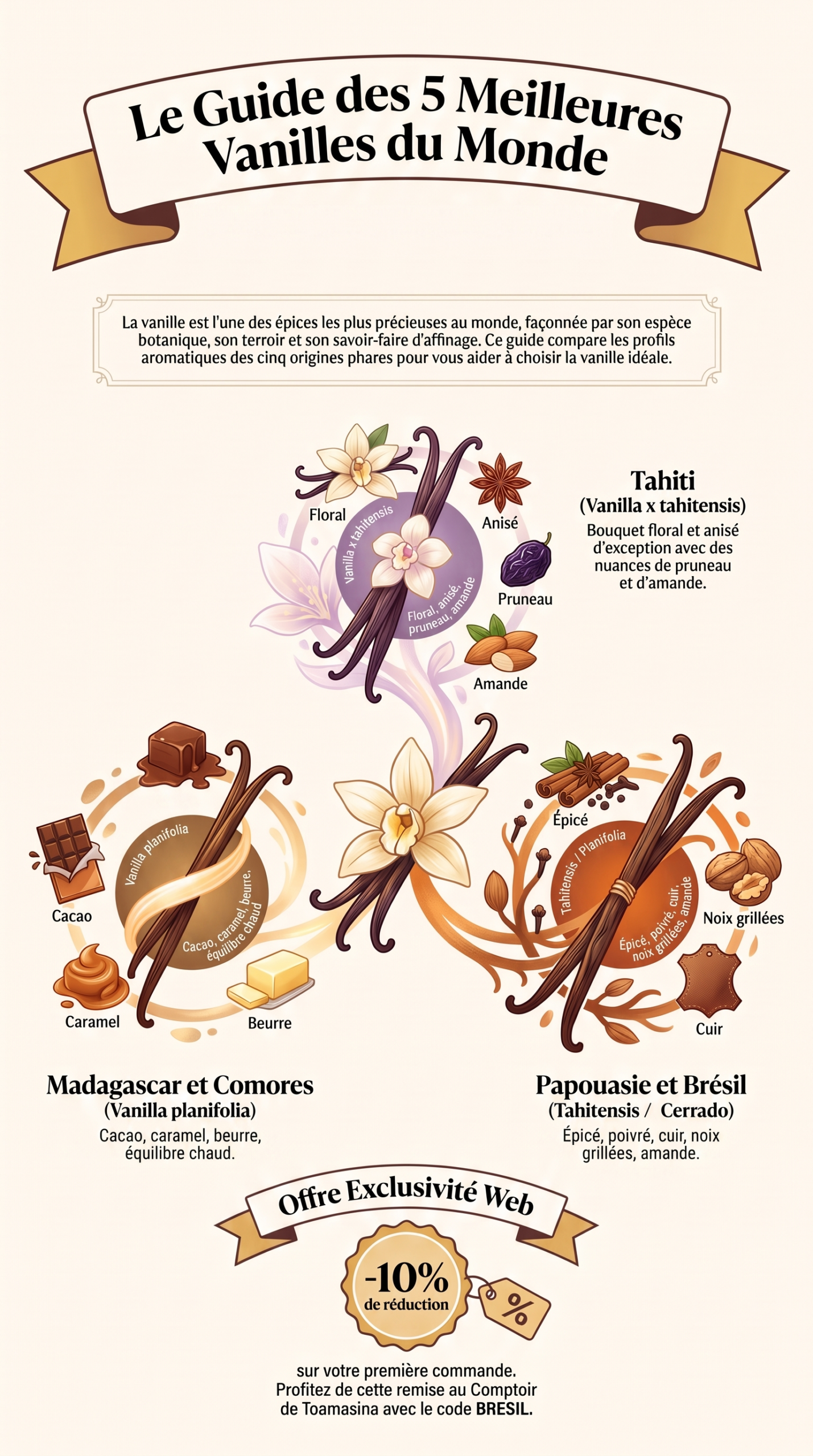 Guide des 5 meilleures vanilles du monde