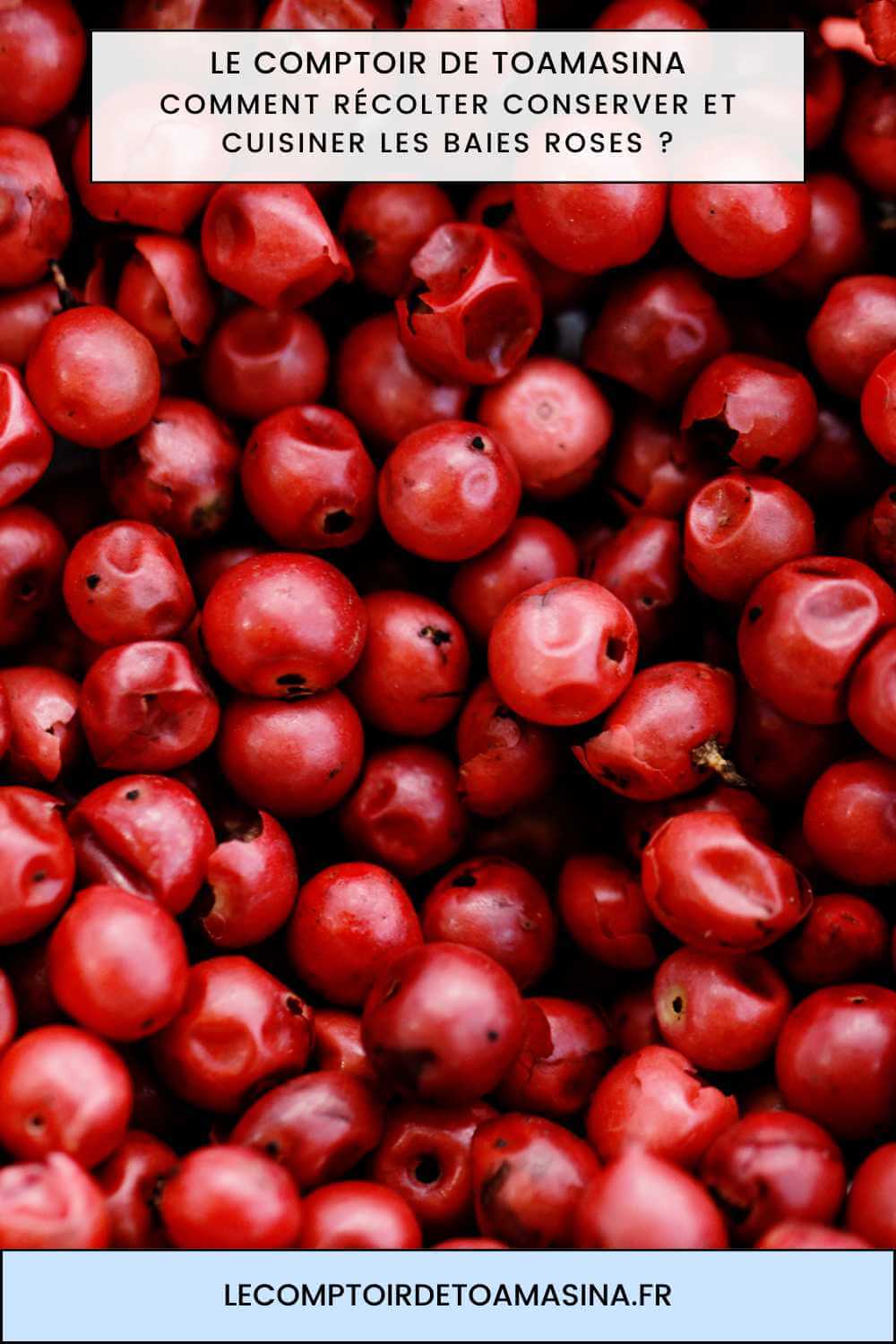 Baies roses du Brésil