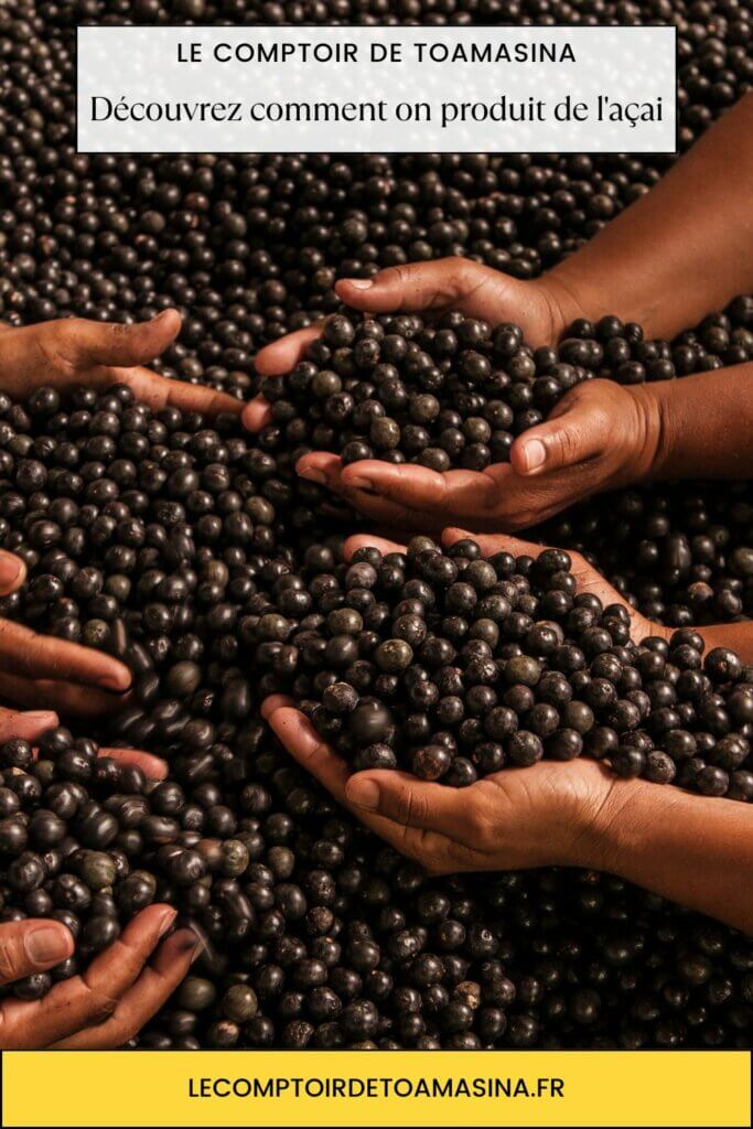 Découvrez comment on produit de l'açai