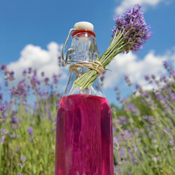 Comment faire un sirop de lavande maison Comment faire un sirop de lavande maison