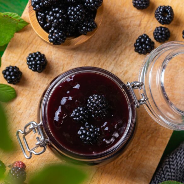 Comment faire une confiture de mûres maison Comment faire une confiture de mûres maison