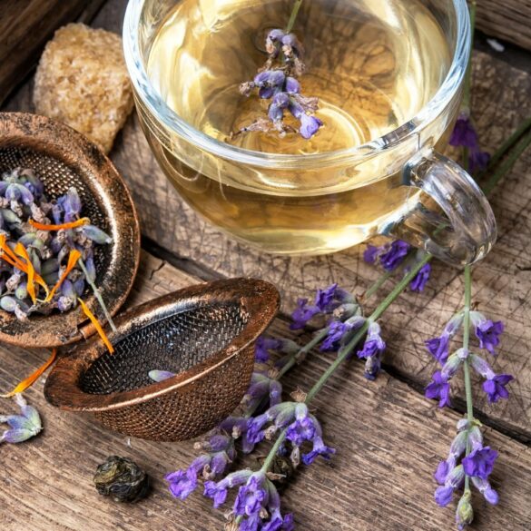 Comment préparer une tisane de lavande Comment préparer une tisane de lavande