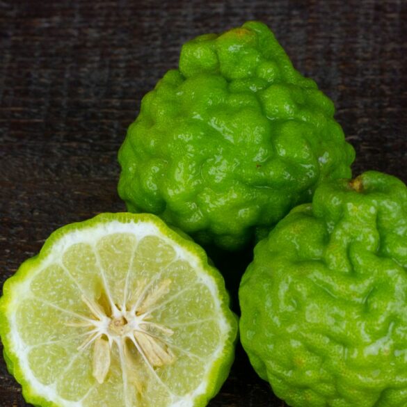 Comment réaliser un délicieux sirop de bergamote Comment réaliser un délicieux sirop de bergamote