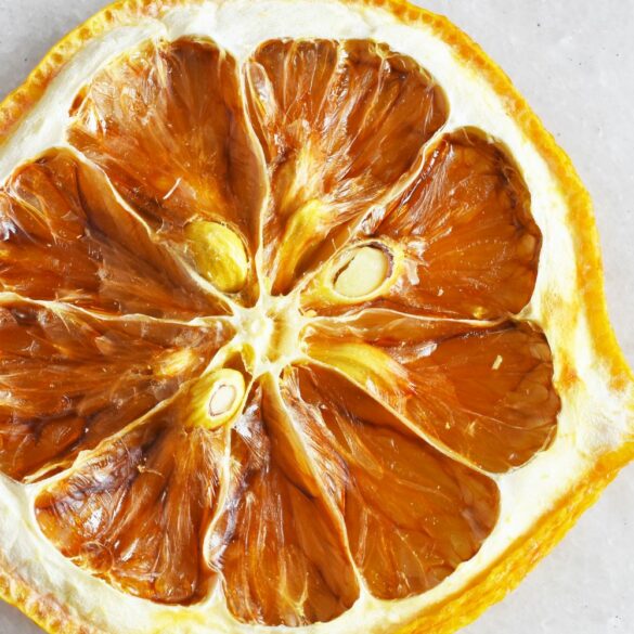 Le Guide de la déshydratation alimentaire Le Guide de la déshydratation alimentaire