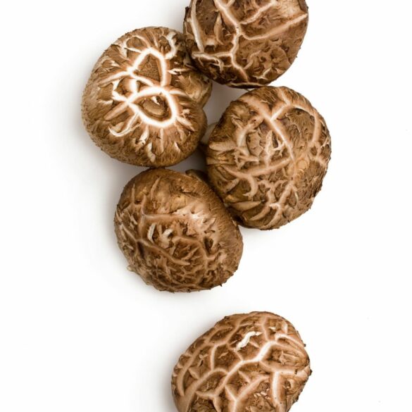 Tout savoir sur les champignons shiitake et comment bien les préparer Tout savoir sur les champignons shiitake et comment bien les préparer