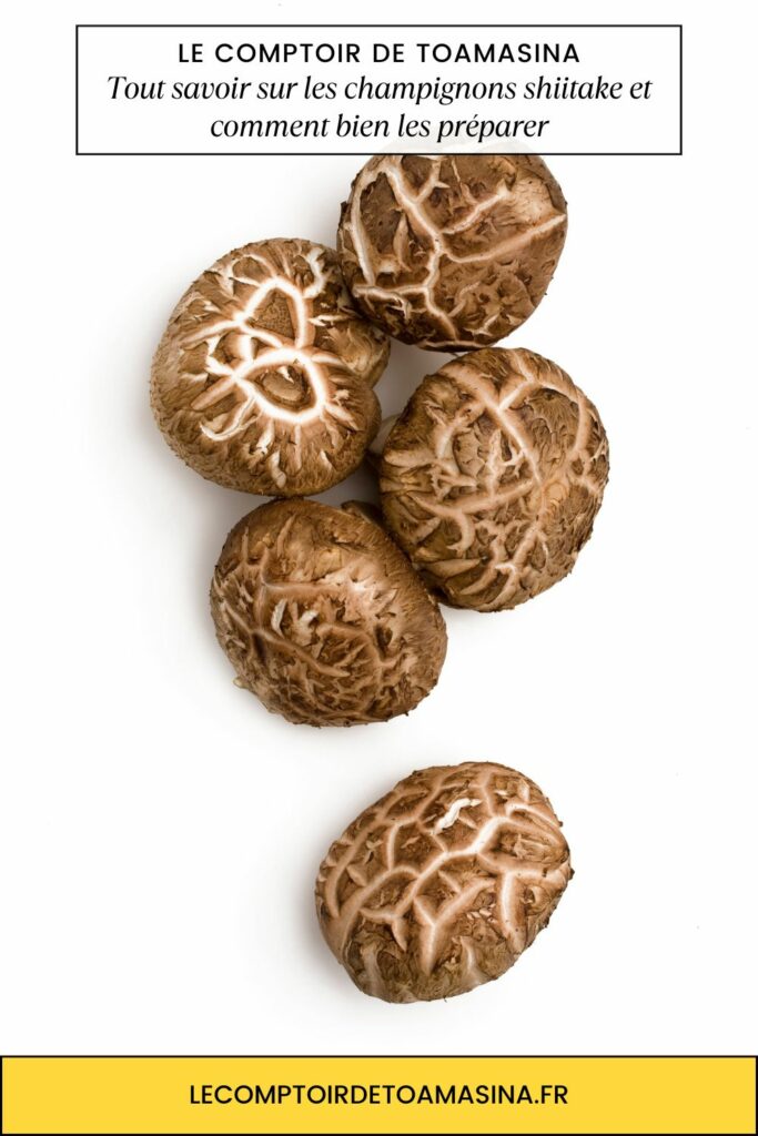 Champignons shiitakés