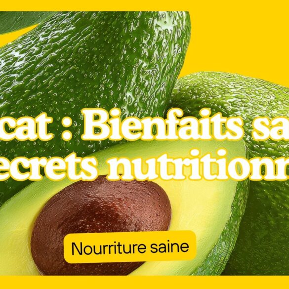 Avocat bienfaits santé et secrets nutritionnels Avocat bienfaits santé et secrets nutritionnels