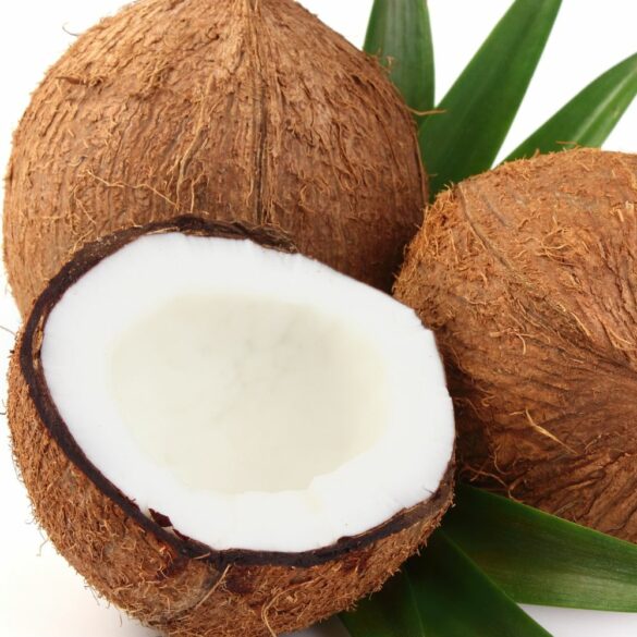 Le Guide de l’Huile de Coco pour la Peau Le Guide de l'Huile de Coco pour la Peau
