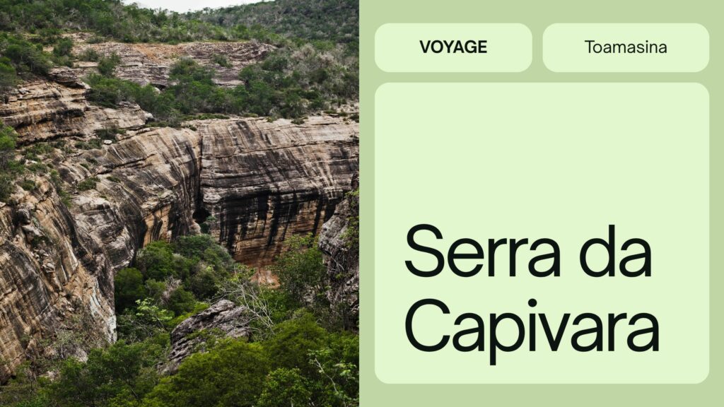 Le parc national de la Serra da Capivara Une Bibliothèque Préhistorique à Ciel Ouvert