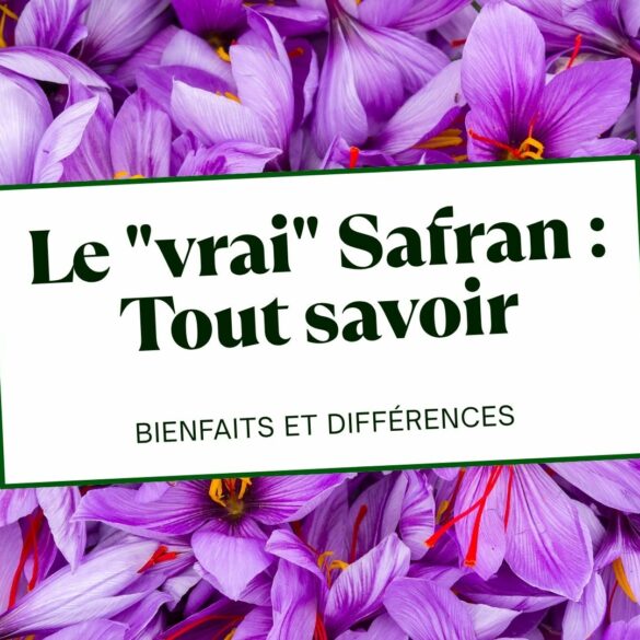 Qu'est-ce que le safran, ses bienfaits et pourquoi ne pas le confondre