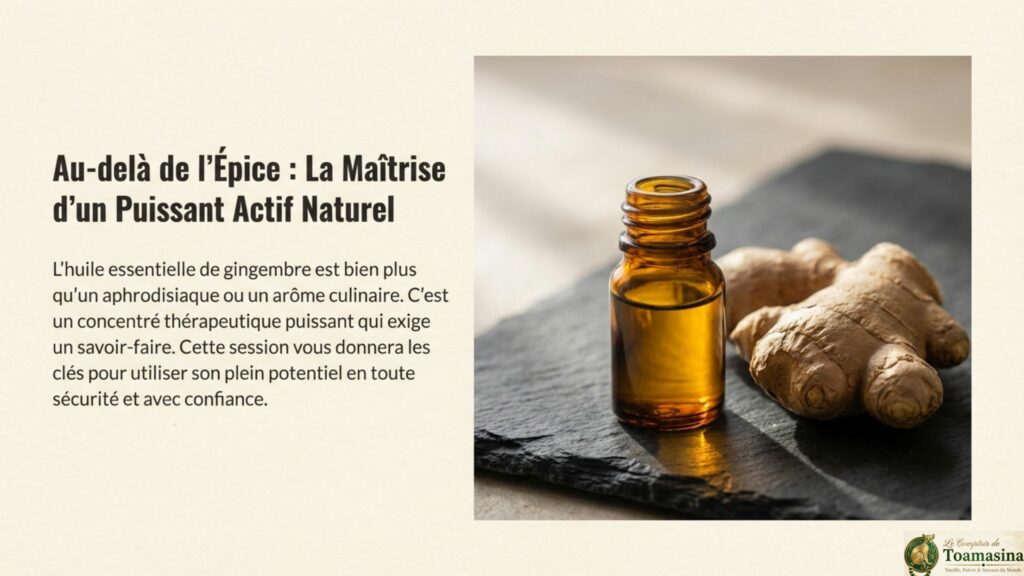 Comment utiliser l'huile essentielle de gingembre contre les nausées et le mal des transports