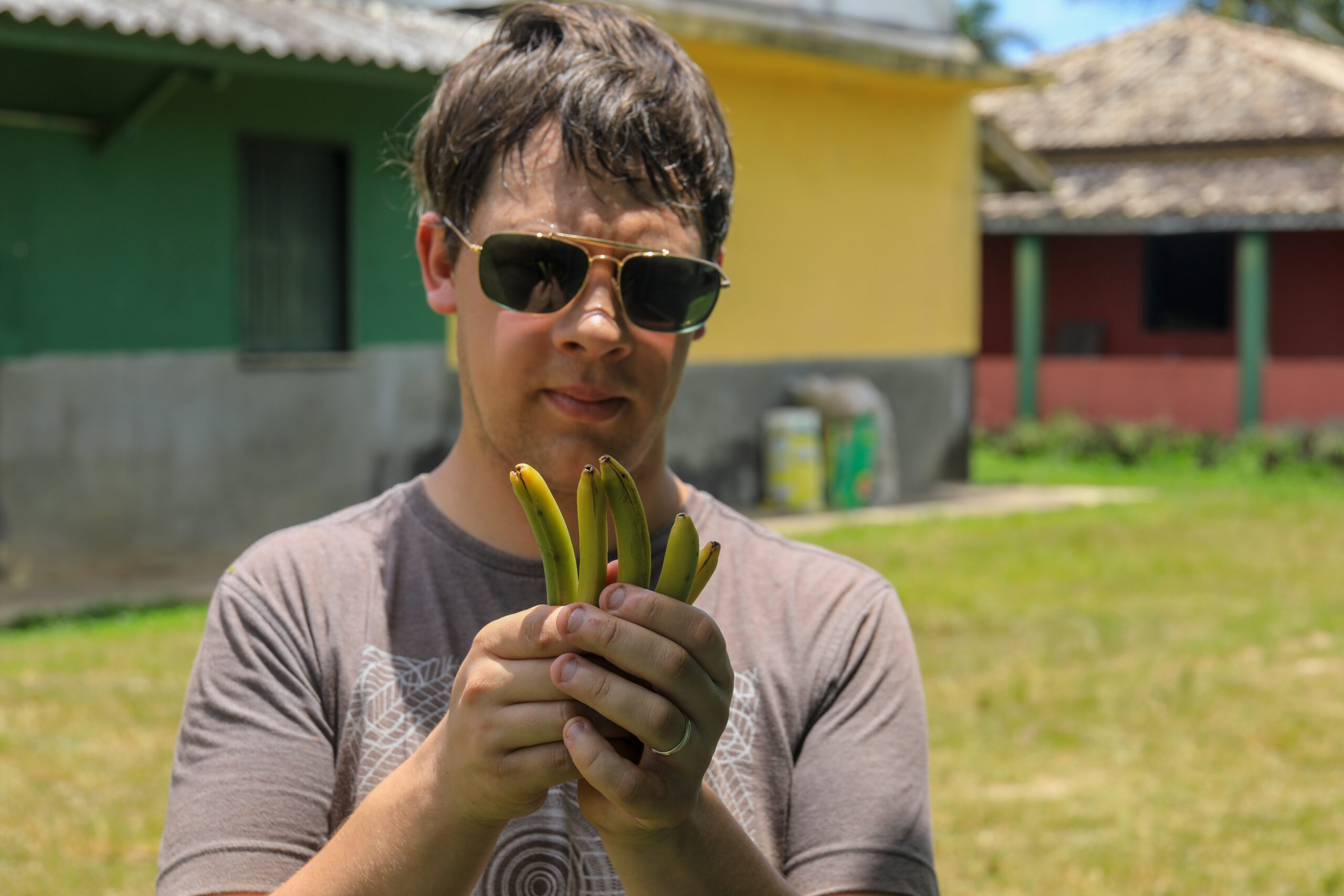 La Récolte Cueillir la Gousse à l'Instant Parfait