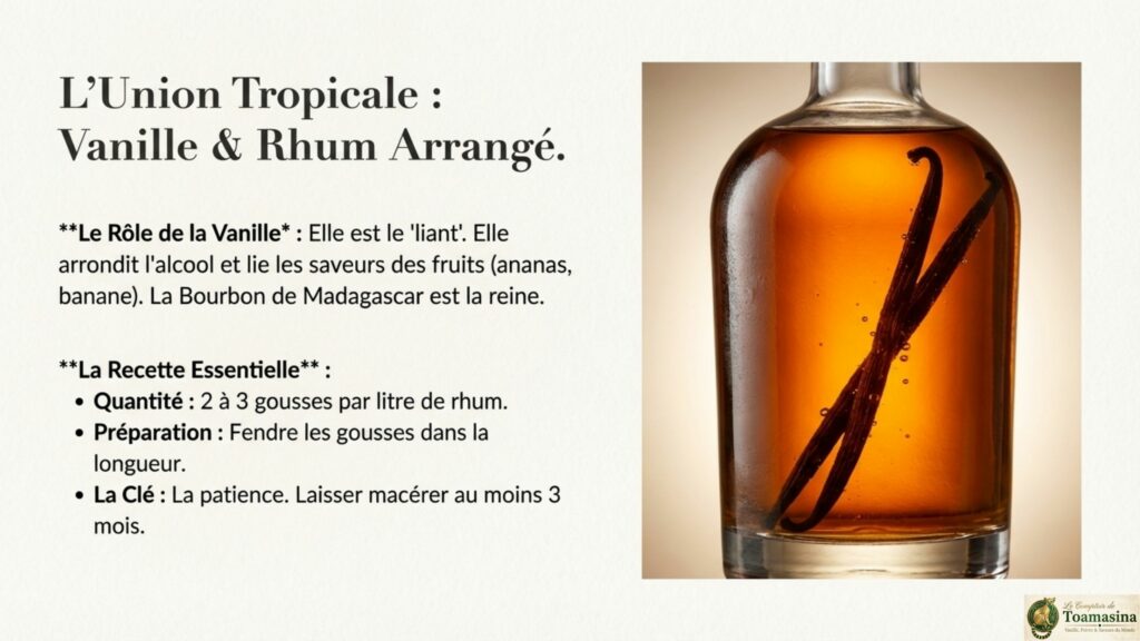Rhum Arrangé et Vanille Le mariage tropical incontournable