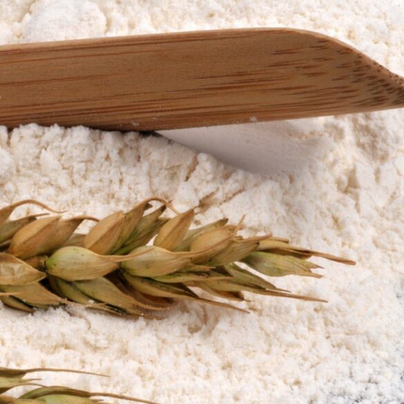 T45, T55, Fécule Quelle farine choisir pour des gâteaux ultra-moelleux