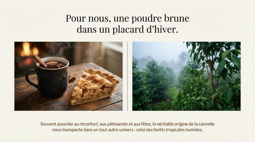 Une poudre brune pour nous