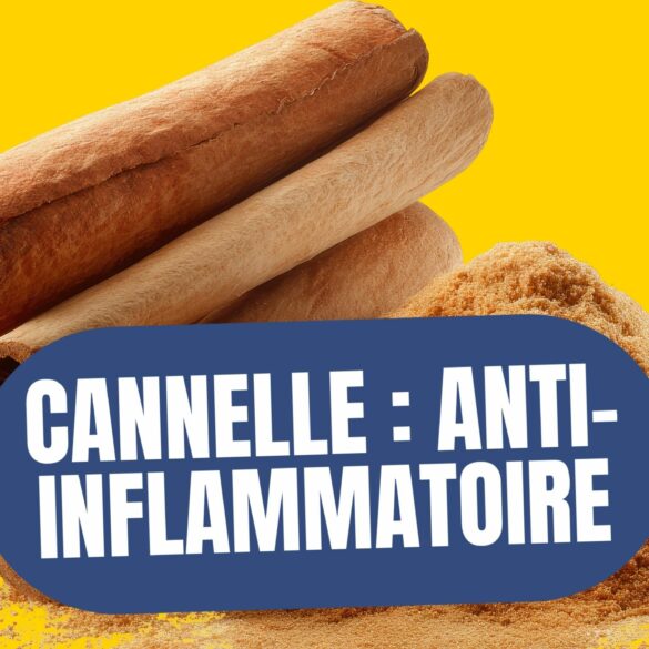 la cannelle en poudre comme anti-inflammatoire pourquoi et comment l’utiliser