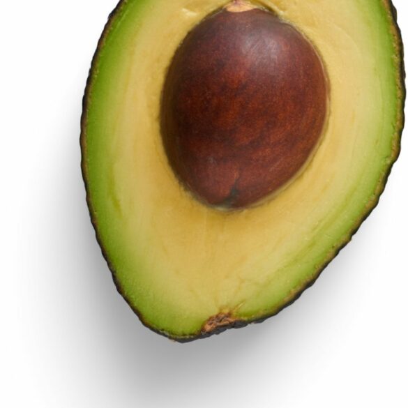 Avocat Comment bien choisir un avocat mûr