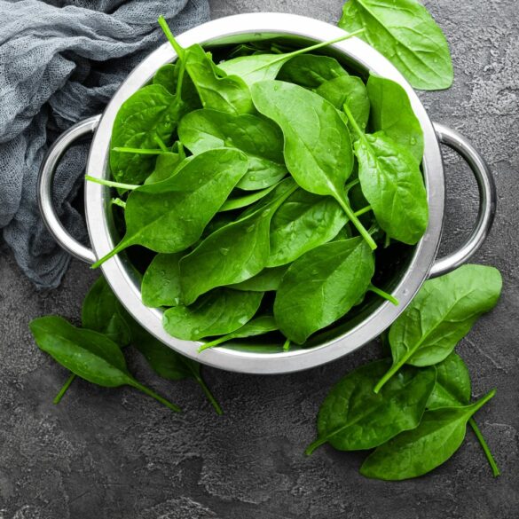 Kale vs Épinard - Quel Légume Vert à Feuilles Est le Meilleur