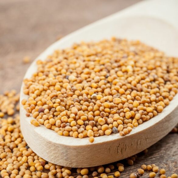 Le Guide Ultime de la Moutarde Découvrez les 11 Variétés Incontournables et Leurs Saveurs