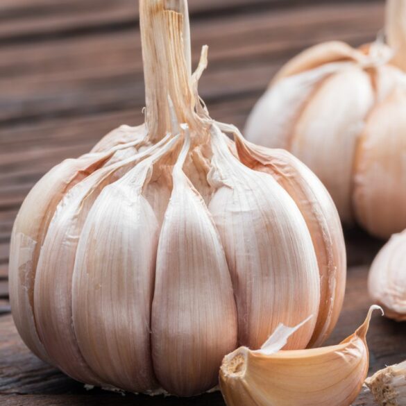 Tout savoir sur l'ail Les incroyables bienfaits de l'ail pour la santé et une recette gourmande