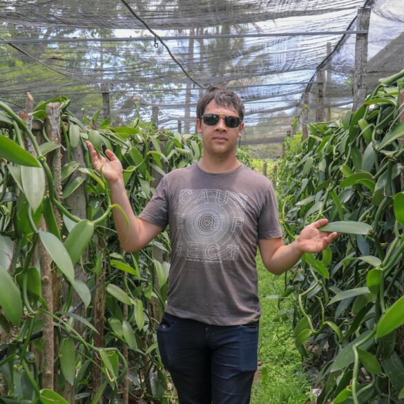 Vanille Les Différentes Variétés et Comment Choisir