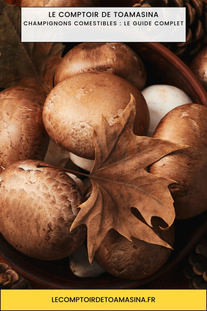Champignons comestibles