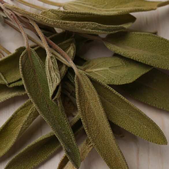 Comment utiliser la sauge