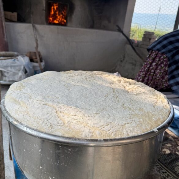 Tout savoir sur le pain au levain