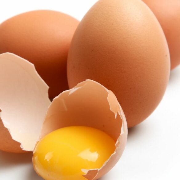 Tout savoir sur les œufs de la nutrition à l'élevage, tout ce que vous devez savoir pour comment bien choisir un œuf !